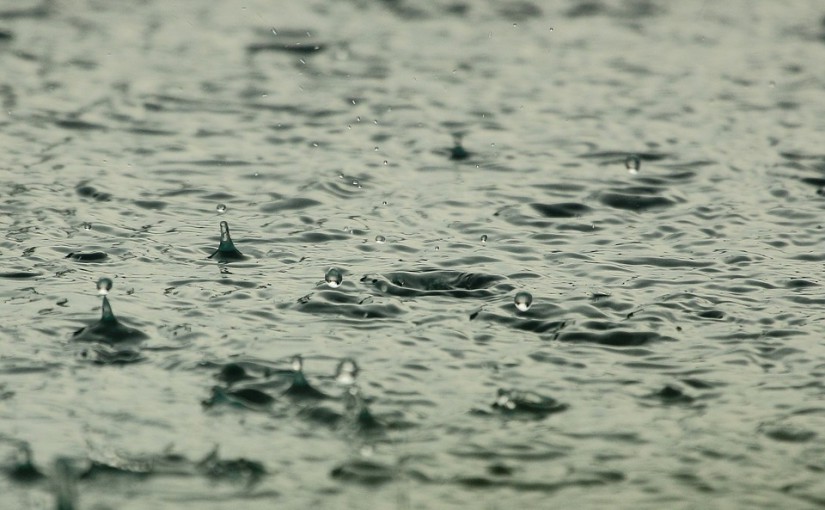 Récupération d’eau de pluie, si on en parlait un peu ?