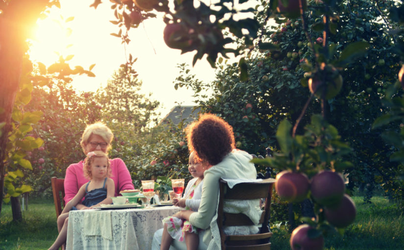 Comment organiser votre repas d’été dans votre jardin ?