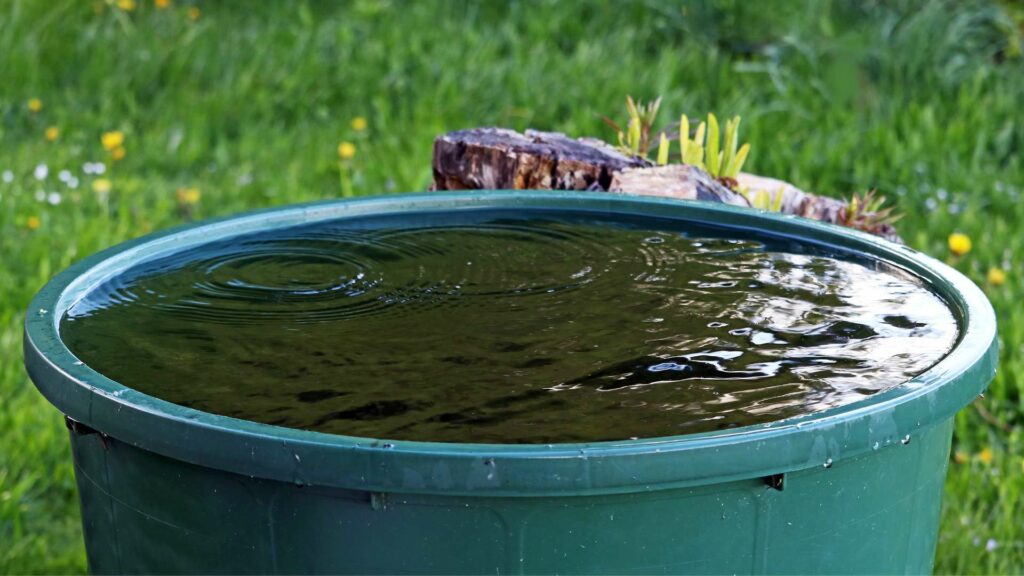 Un récupérateur d'eau de pluie