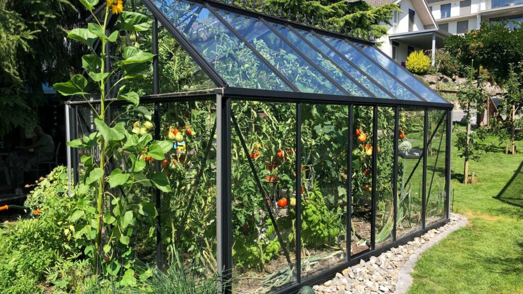 Une serre de jardin en verre