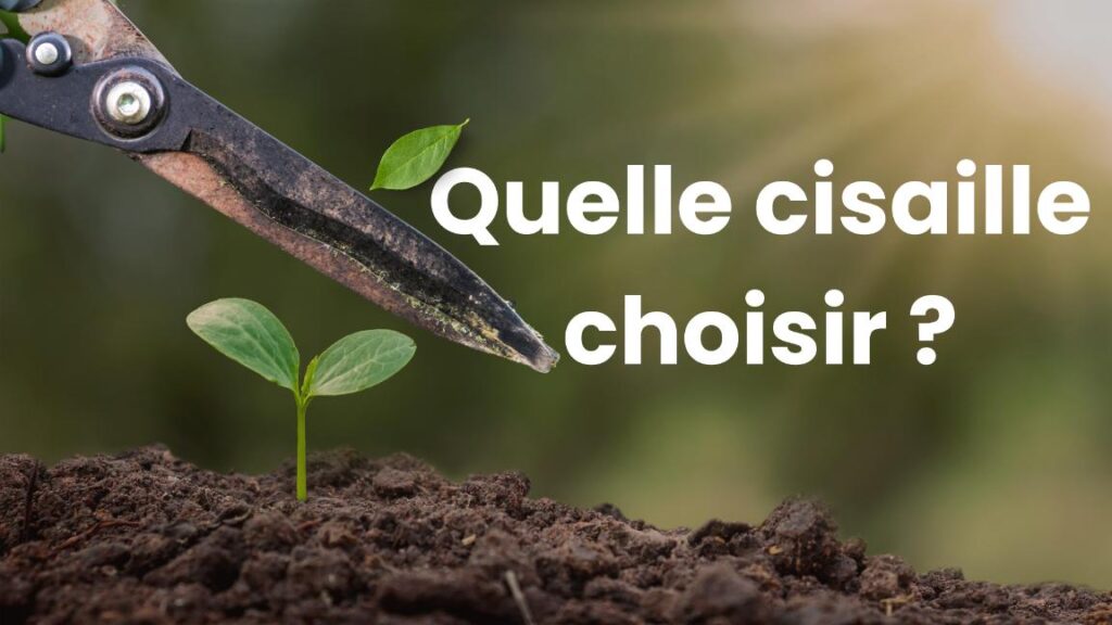 meilleure cisaille jardin