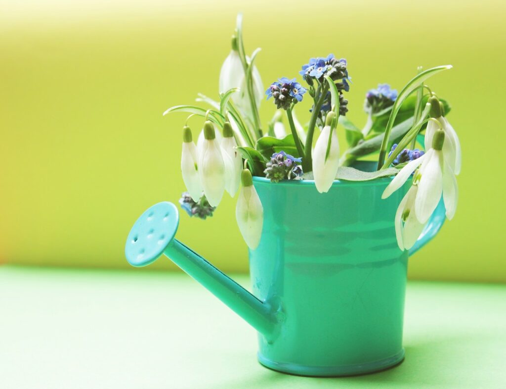 Un arrosoir pour jardin