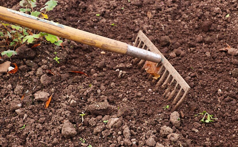 Comment choisir le meilleur râteau pour entretenir son jardin à moindre coût