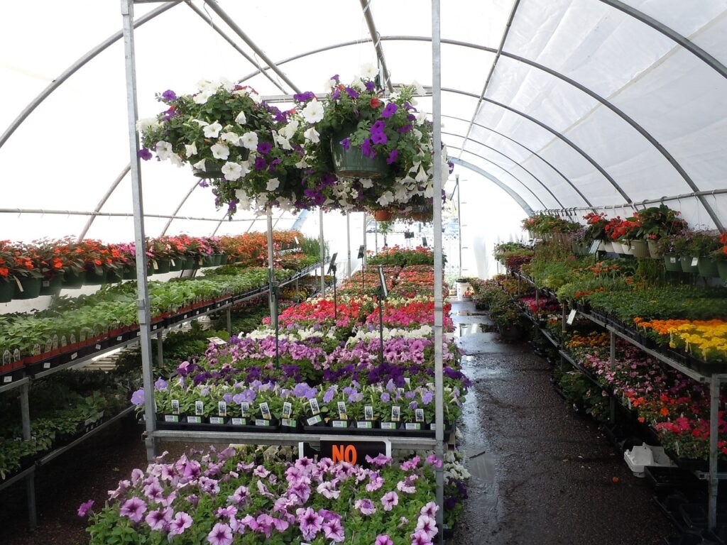 Une serre de jardin
