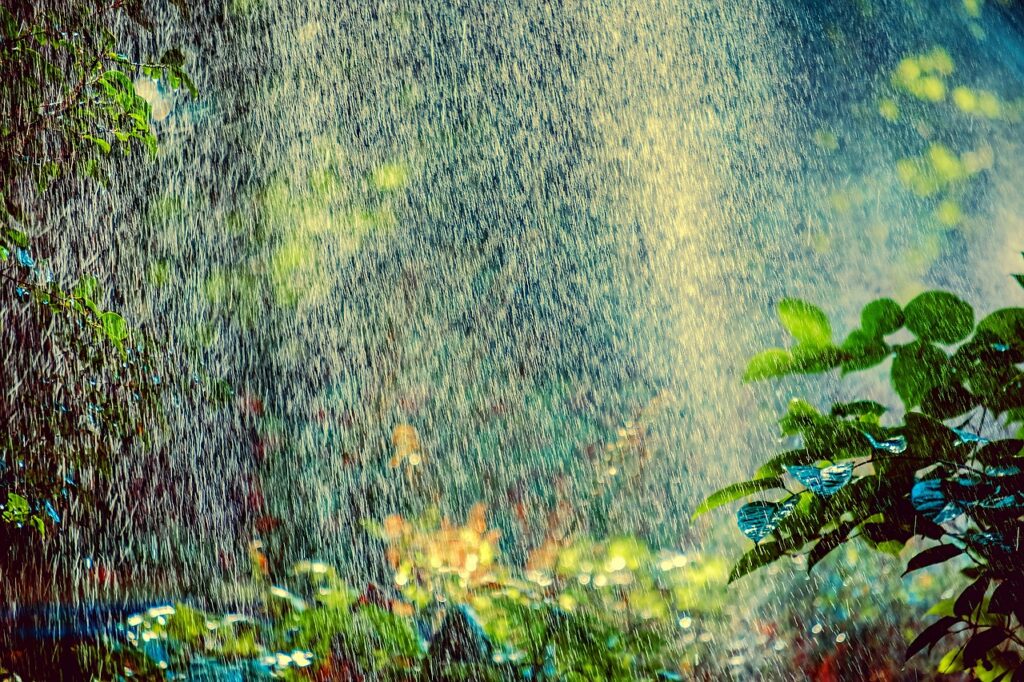 Un jardin arrosé
