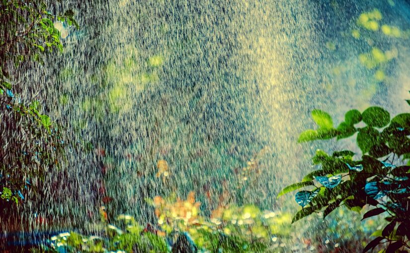 Les kits d’irrigation pour un jardin bien arrosé à petit budget