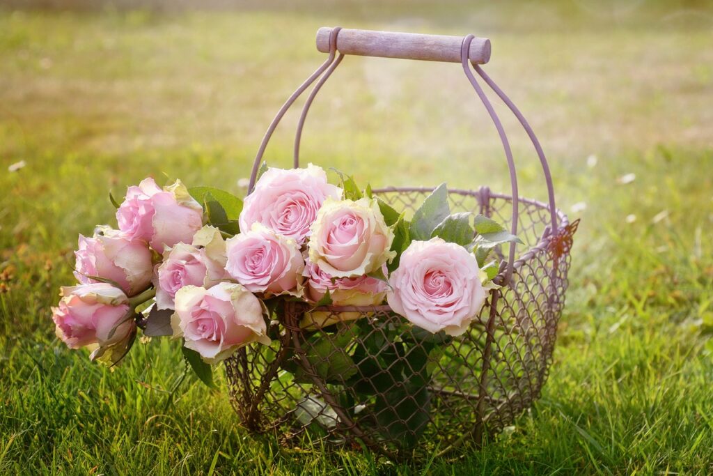 Des fleurs