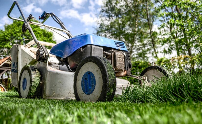 Les tondeuses à gazon pas chères mais performantes en 2023