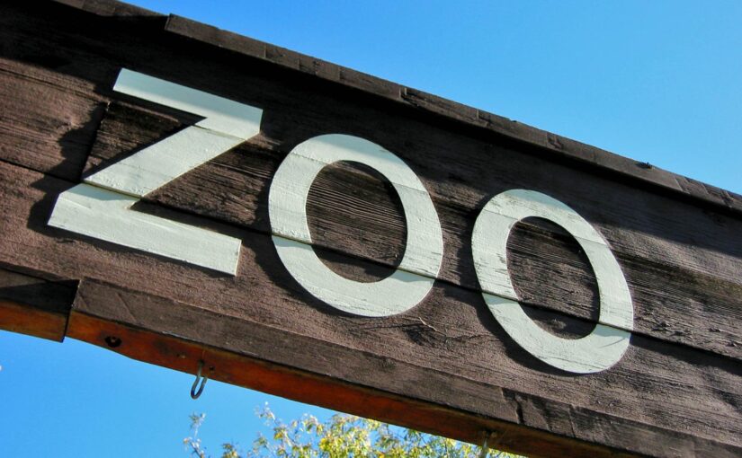 Les meilleures activités de loisirs pour les enfants : France Miniature, Le Puy du Fou, Parc Zoologique de Paris